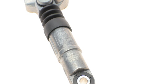 Фото 3 - Ролик ременя приводного INA 534 0257 10 (534025710)