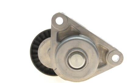 Фото 3 - Ролик ременя приводного INA 534 0290 10 (534029010)