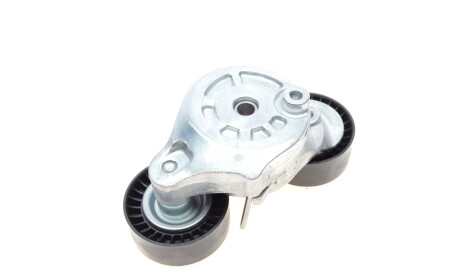 Фото 6 - Шків генератора INA 534 0696 10 (534069610)