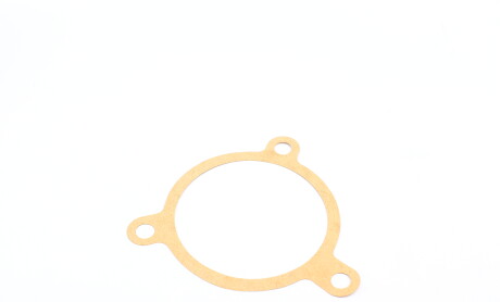 Фото 8 - Водяний насос INA 538 0163 10 (538016310)