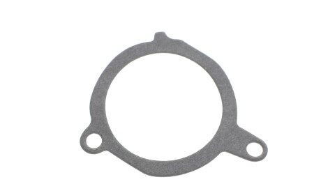 Фото 3 - Водяний насос INA 538 0289 10 (538028910)