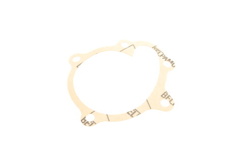 Фото 8 - Водяной насос INA 538 0298 10 (538029810)