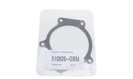 Фото 2 - Водяний насос INA 538 0558 10 (538055810)