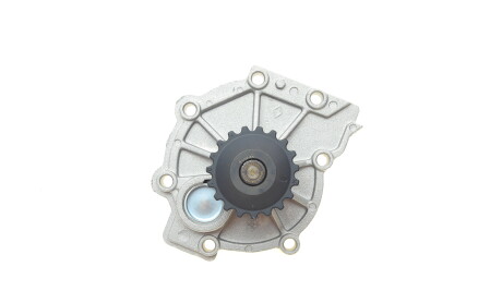 Фото 5 - Водяний насос INA 538 0808 10 (538080810)