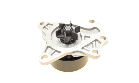 Фото 3 - Водяной насос INA 538 0809 10 (538080910)