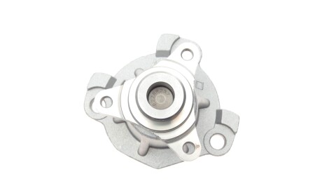 Фото 4 - Водяной насос INA 538 0881 10 (538088110)