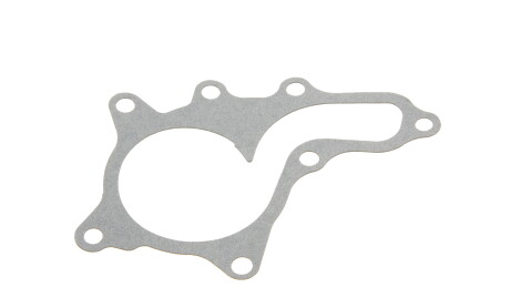 Фото 6 - Водяний насос INA 538 0903 10 (538090310)