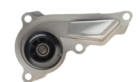 Фото 3 - Водяний насос INA 538 0966 10 (538096610)