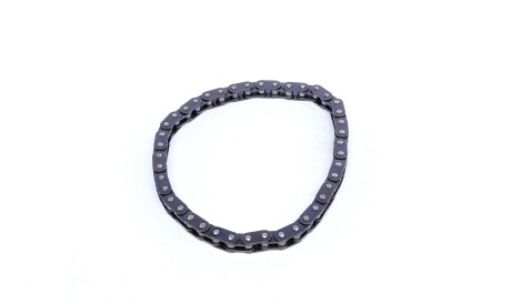 Фото 3 - Масляный насос INA 553 0124 10 (553012410)