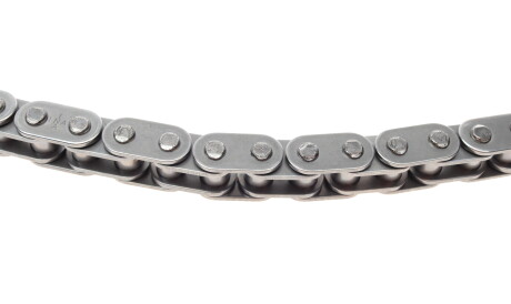 Фото 2 - Цепь ГРМ INA 553 0209 10 (553020910)