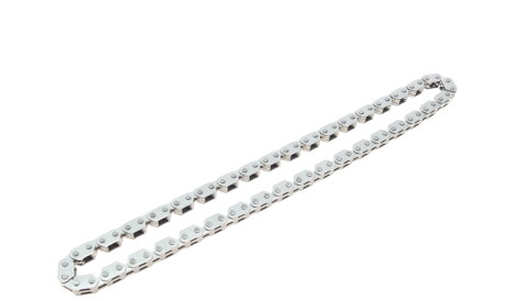 Фото 3 - Ланцюг ГРМ INA 553 0318 10