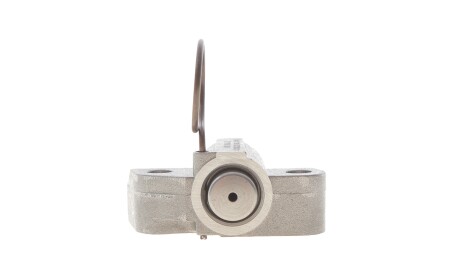 Фото 5 - Масляный насос INA 558 0153 20 (558015320)