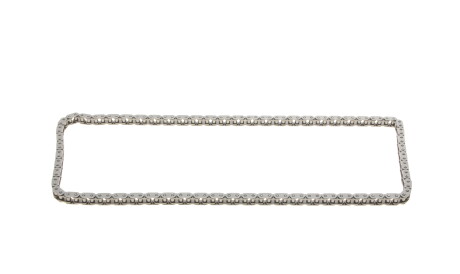 Фото 3 - Ланцюг ГРМ INA 559 0048 10 (559004810)