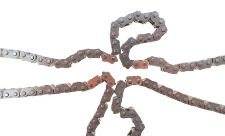 Фото 3 - Ланцюг ГРМ INA 559 0196 22 (559019622)