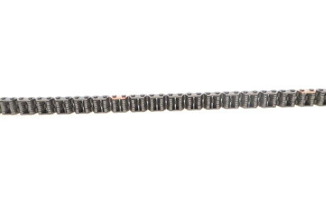 Фото 4 - Ланцюг ГРМ INA 559 0196 22 (559019622)