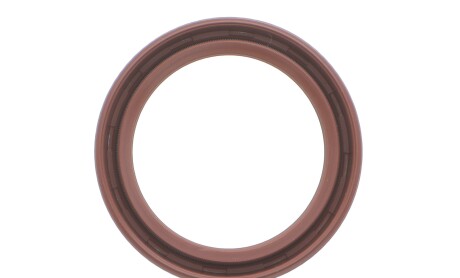 Фото 8 - Цепь ГРМ INA 559 1005 40 (559100540)