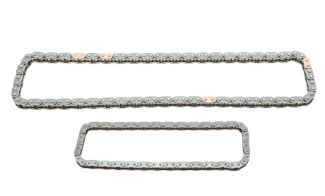 Фото 3 - Цепь ГРМ INA 559100850