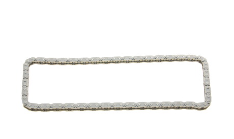 Фото 3 - Ланцюг ГРМ INA 559 1009 30 (559100930)