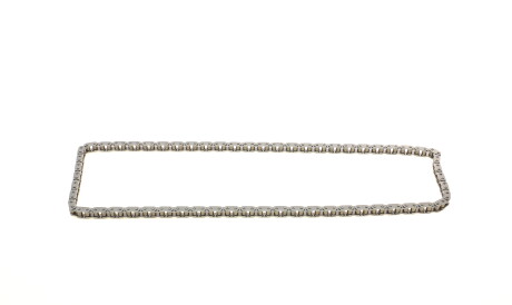 Фото 3 - Ланцюг ГРМ INA 559 1012 10 (559101210)