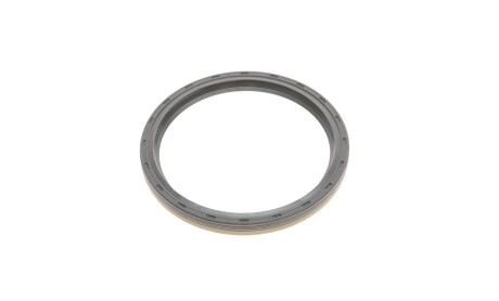 Фото 8 - Цепь ГРМ INA 559177420