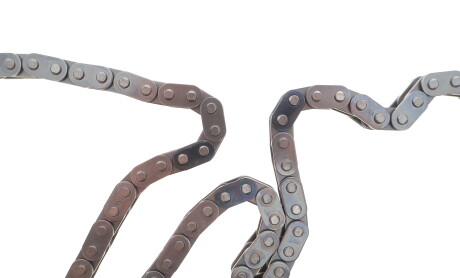 Фото 3 - Цепь ГРМ INA 559 1812 40 (559181240)