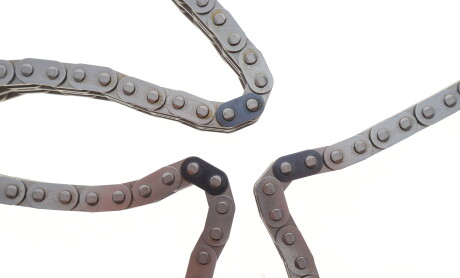 Фото 6 - Ланцюг ГРМ INA 559 1815 10 (559181510)