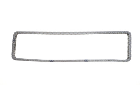 Фото 8 - Ланцюг ГРМ INA 559 1815 10 (559181510)