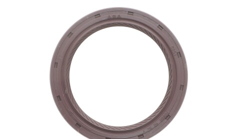 Фото 5 - Цепь ГРМ INA 559 1817 40 (559181740)