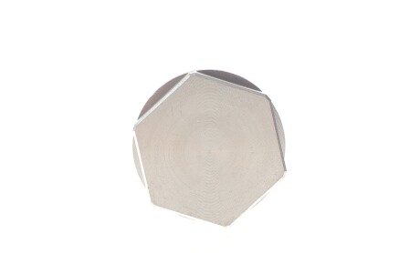 Фото 3 - Цепь ГРМ INA 559 1818 21 (559181821)