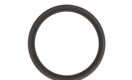 Фото 5 - Цепь ГРМ INA 559 1818 21 (559181821)