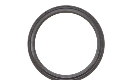 Фото 6 - Цепь ГРМ INA 559 1818 21 (559181821)