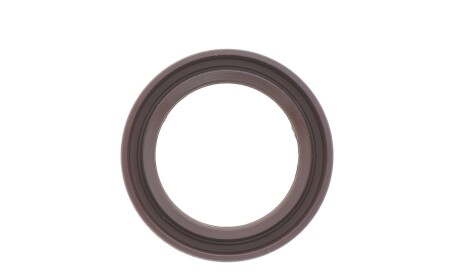 Фото 6 - Ланцюг ГРМ INA 559 1831 20 (559183120)