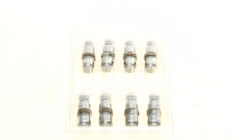 Фото 8 - Ланцюг ГРМ INA 560000310