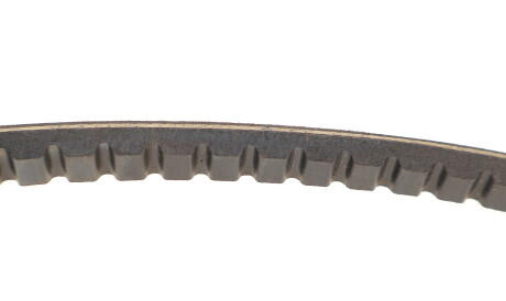 Фото 3 - Ремень приводной INA FB 13X825 (FB13X825)