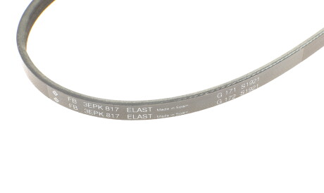 Фото 3 - Ремень приводной INA FB 3EPK817 (FB3EPK817)