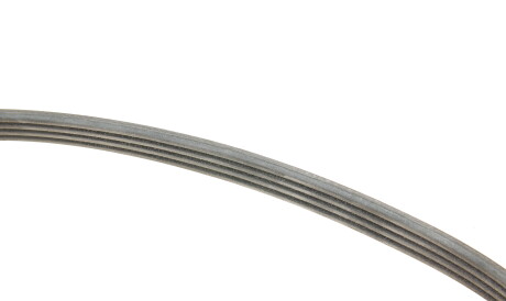 Фото 3 - Ремень приводной INA FB 4EPK753 (FB4EPK753)