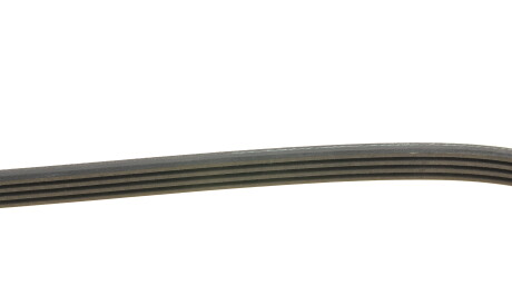 Фото 2 - Ремінь приводний INA FB 4PK775 (FB4PK775)