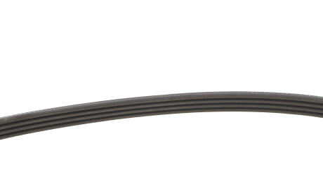 Фото 5 - Ремень приводной INA FB 4PK810