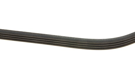 Фото 3 - Ремінь приводний INA FB 4PK895 (FB4PK895)