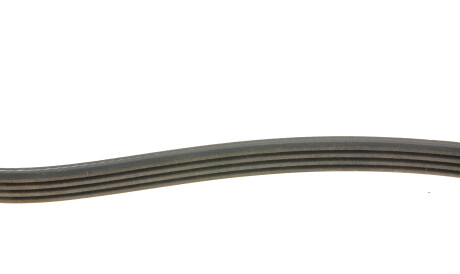 Фото 3 - Ремень приводной INA FB 4PK995 (FB4PK995)