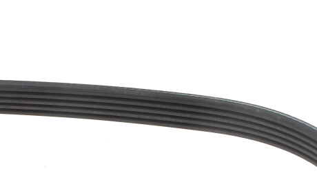 Фото 3 - Ремінь приводний INA FB 5PK1100 (FB5PK1100)