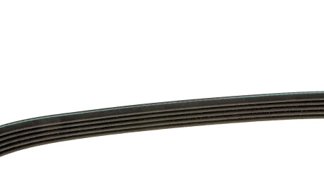 Фото 2 - Ремінь приводний INA FB 5PK1105 (FB5PK1105)