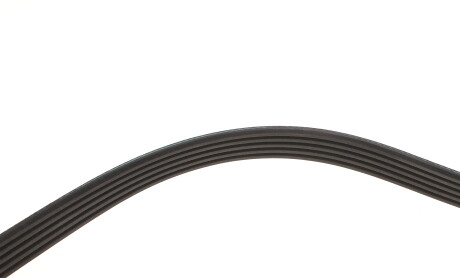 Фото 7 - Ремінь приводний INA FB 5PK1113 (FB5PK1113)