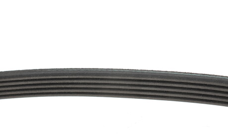 Фото 3 - Ремінь приводний INA FB 5PK1125 (FB5PK1125)