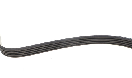 Фото 3 - Ремень приводной INA FB 5PK1165 (FB5PK1165)