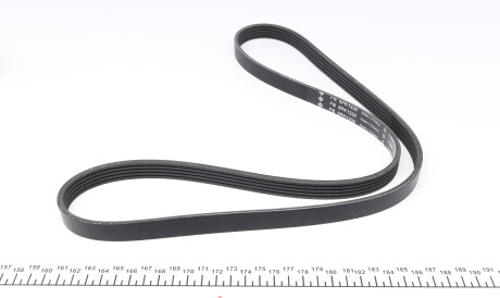 Фото 3 - Ремень приводной INA FB 5PK1230 (FB5PK1230)