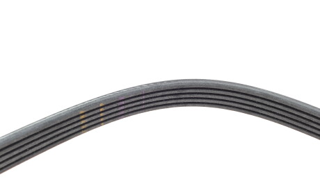 Фото 3 - Ремінь приводний INA FB 5PK1255 (FB5PK1255)