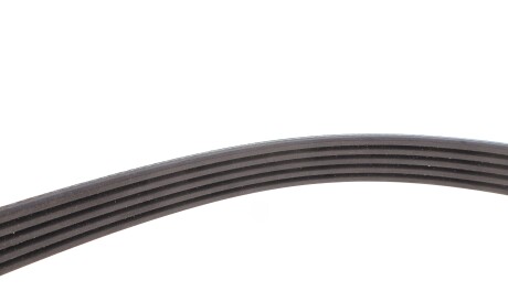 Фото 3 - Ремінь приводний INA FB 5PK1300 (FB5PK1300)