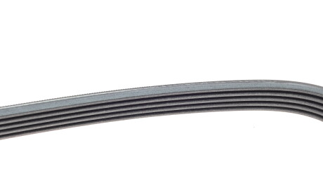 Фото 3 - Ремінь приводний INA FB 5PK1515 (FB5PK1515)