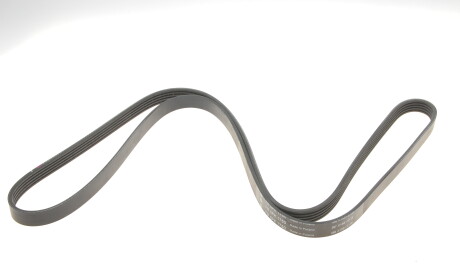 Фото 2 - Ремінь приводний INA FB 5PK1750 (FB5PK1750)